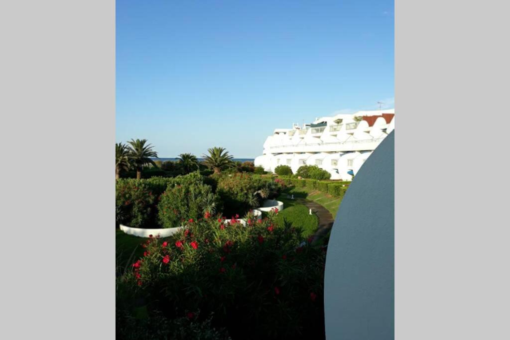 Le Cocon De Flo, Studio Face A La Mer Au Couchant La Grande-Motte Exterior photo